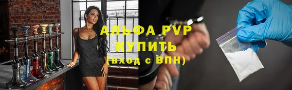 сатива Балахна
