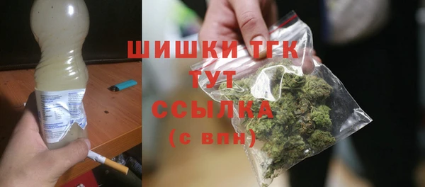 сатива Балахна