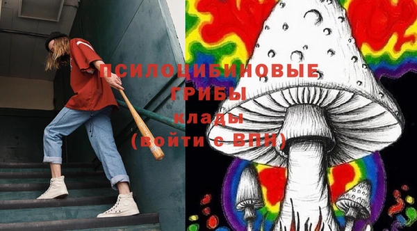 бутират Баксан