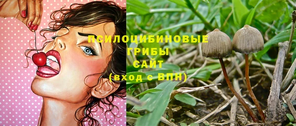 сатива Балахна