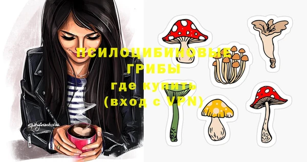 бутират Баксан