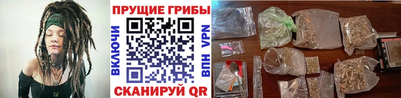 Псилоцибиновые грибы Psilocybe  Туринск 